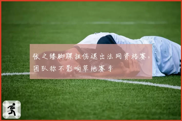 张之臻脚踝扭伤退出法网资格赛，团队称不影响草地赛季