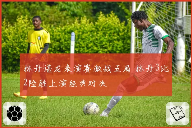 林丹谌龙表演赛激战五局 林丹3比2险胜上演经典对决