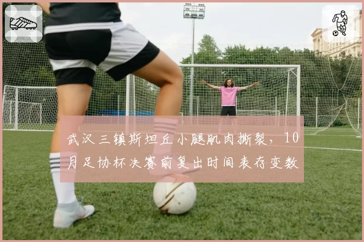 武汉三镇斯坦丘小腿肌肉撕裂,10月足协杯决赛前复出时间表存变数