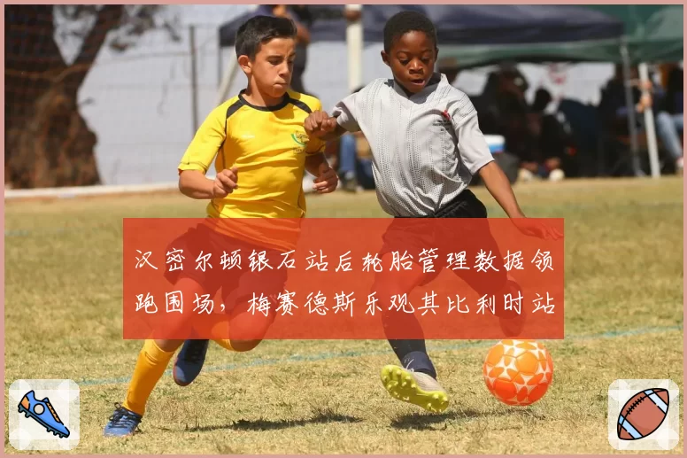 汉密尔顿银石站后轮胎管理数据领跑围场，梅赛德斯乐观其比利时站争冠