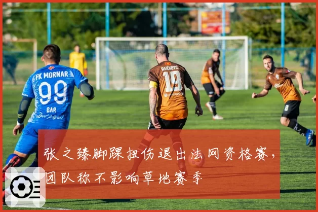 张之臻脚踝扭伤退出法网资格赛，团队称不影响草地赛季